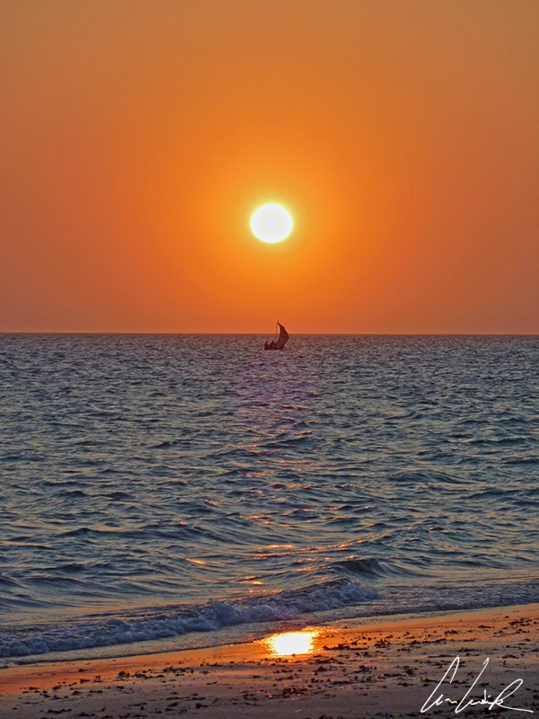 Sur la plage d’Ifaty à Madagascar, on admire le défilé des pirogues de pêcheurs rentrant au port au coucher du soleil.