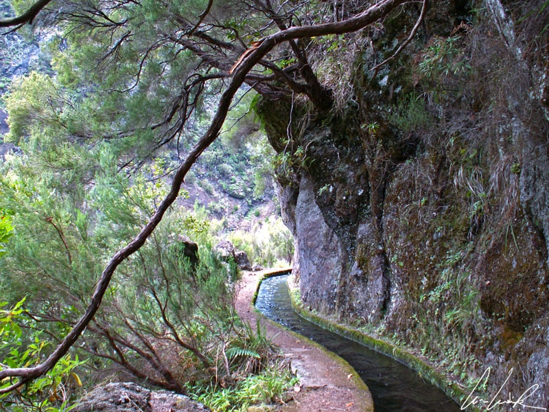 Madeira: you will walk on paths in the heart of the Lauriferous forest, along the Levadas. The trees intertwine, creating a mystical atmosphere worthy