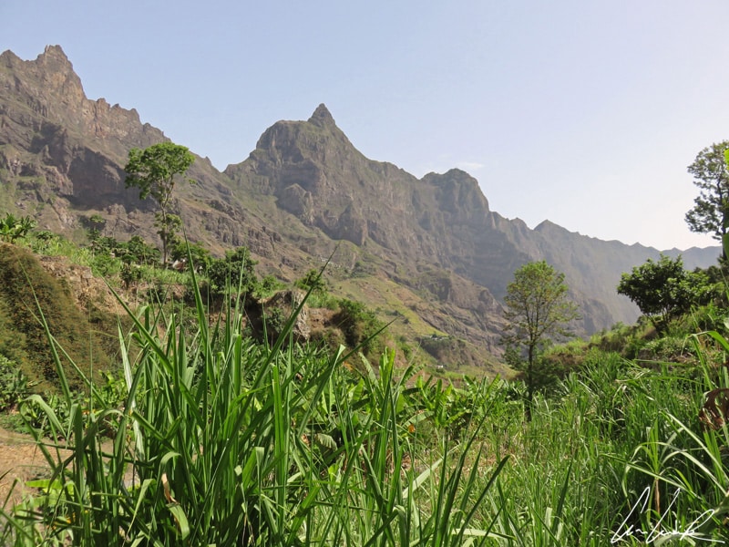The Paúl Valley in Cape Verde, on the island of Santo Antão, is a truly green paradise. It's a long oasis of lush vegetation, squeezed between two mountain bars on the island of Santo Antão.