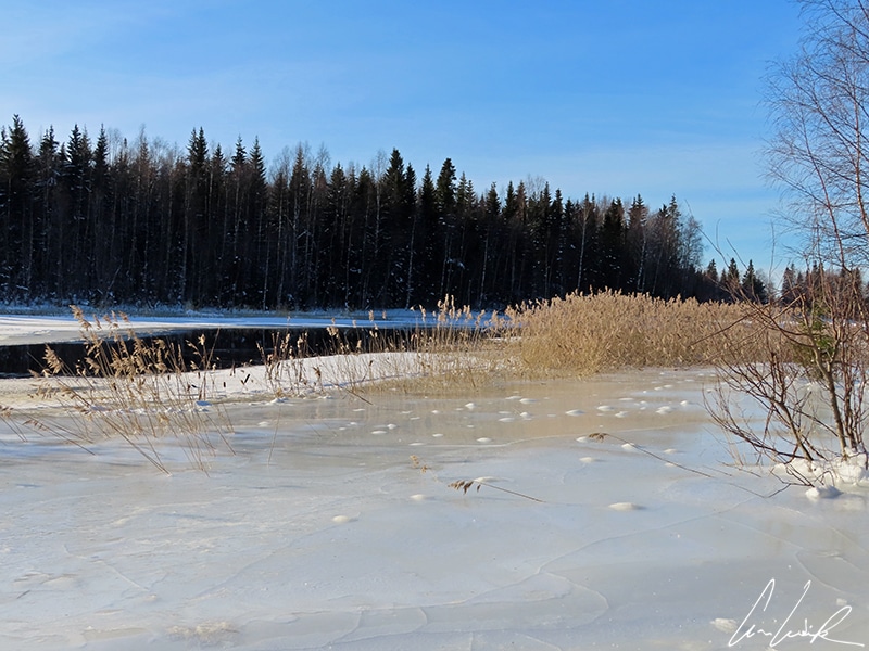 Une balade en motoneige à travers les forêts enneigées et les lacs gelées.